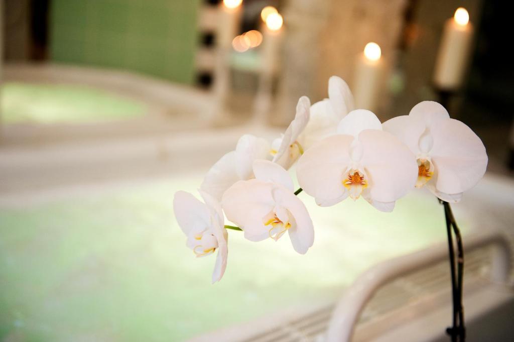 Ringhotel VITALHOTEL ambiente Bad Wilsnack Esterno foto